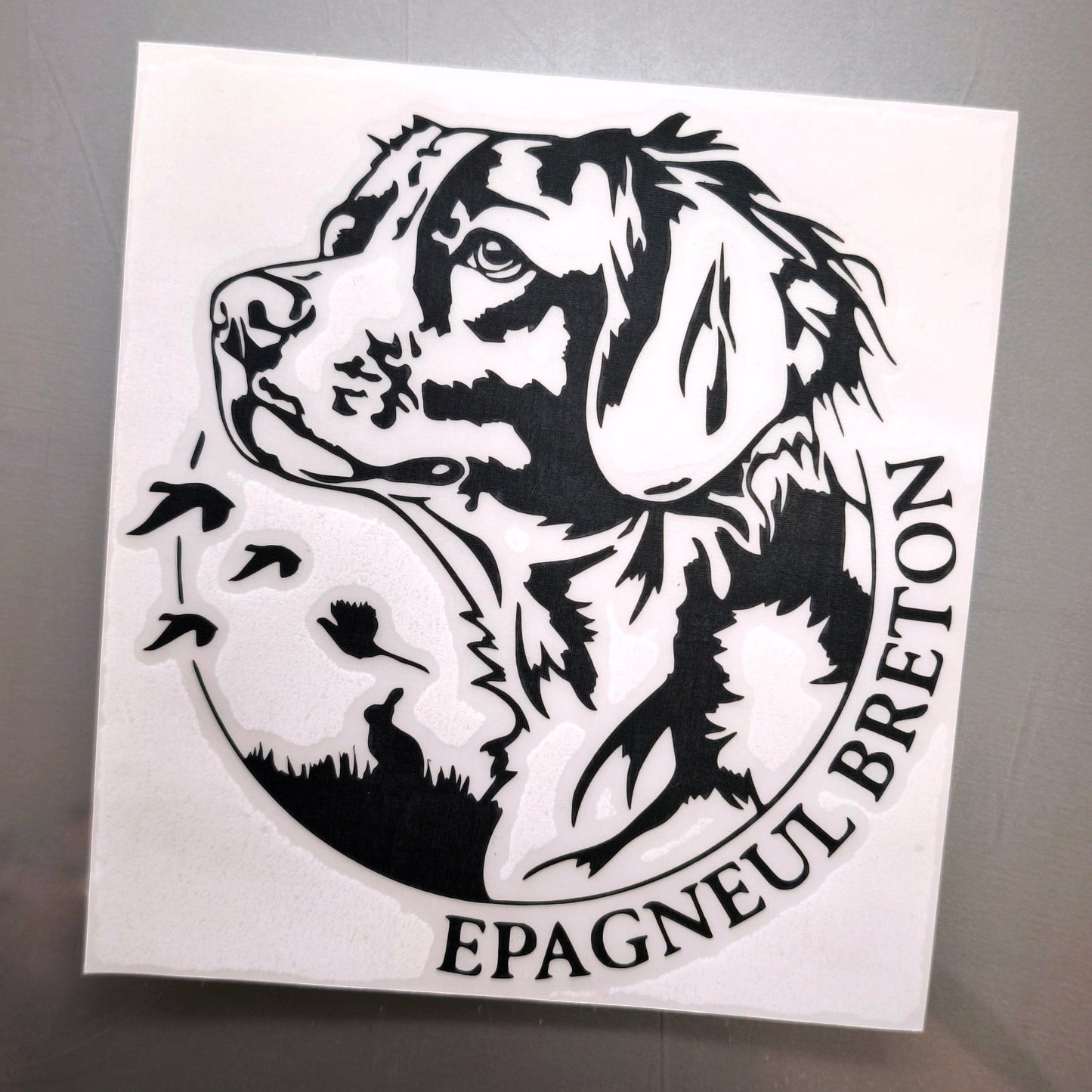 Custom Αυτοκόλλητο Μεταφοράς Βινυλίου